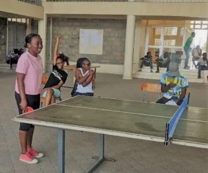 tablle tennis tablle tennis